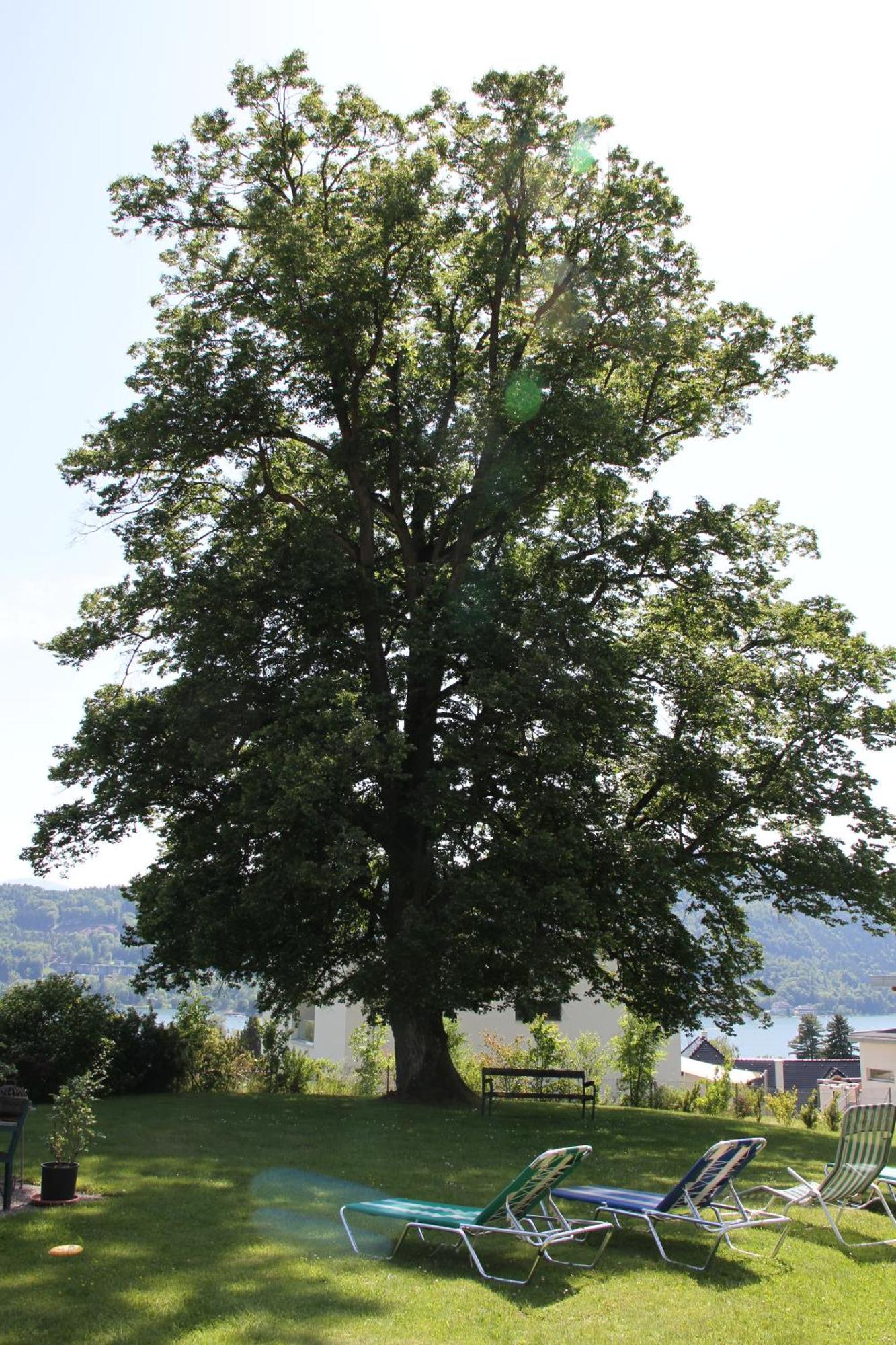 Pörtschach am Wörthersee 斯特鲁斯尼霍夫兰德豪斯旅馆酒店 外观 照片