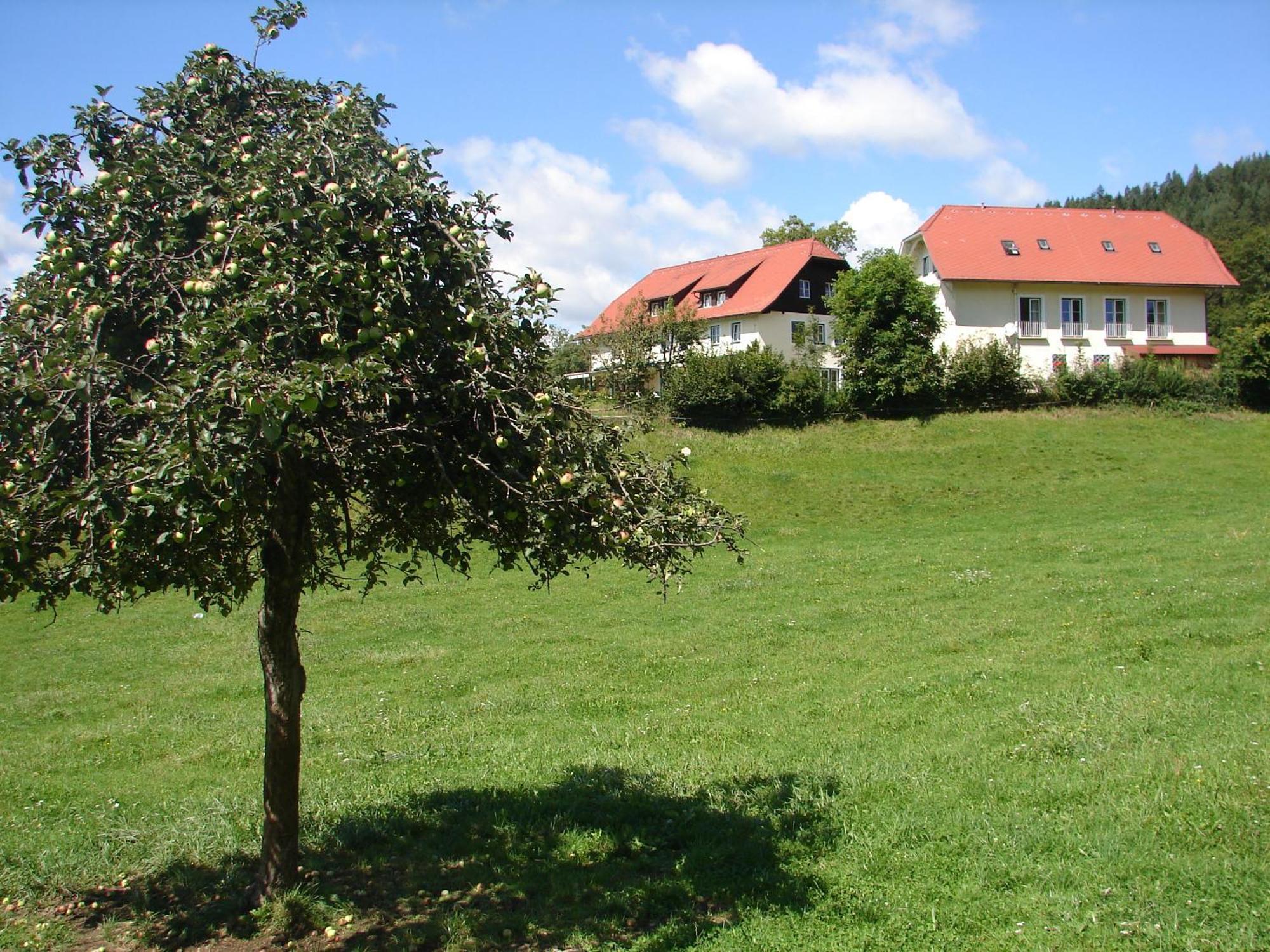 Pörtschach am Wörthersee 斯特鲁斯尼霍夫兰德豪斯旅馆酒店 外观 照片